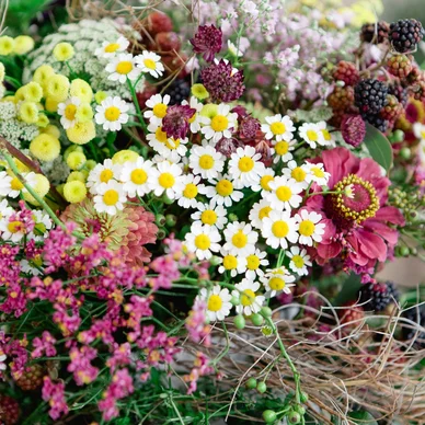 Hochzeitsfloristik Galerie #3 (4) - Brautstrauß und Hochzeitsdekoration von Blumen Vergissmeinnicht in Aldrans, Tirol